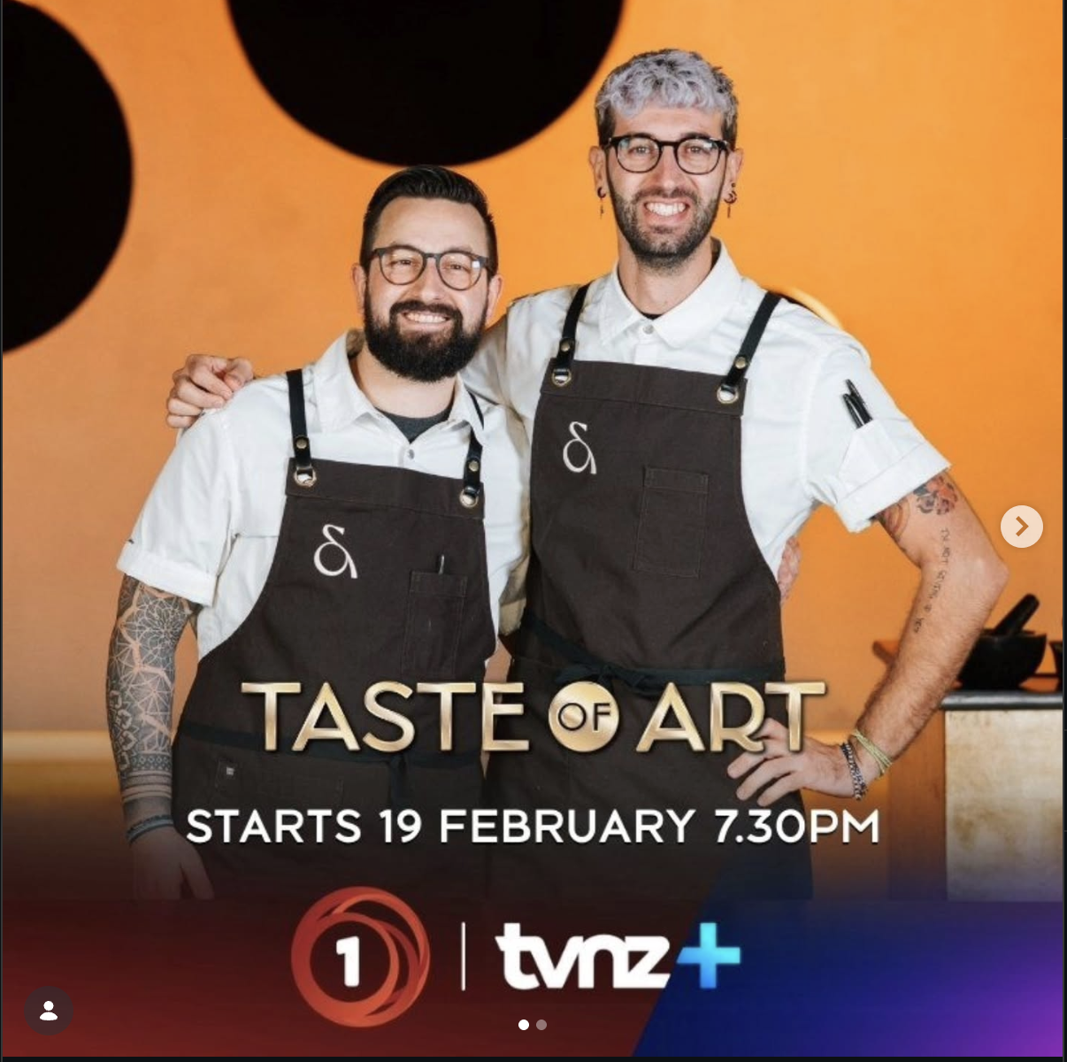 TVNZ Taste of Art