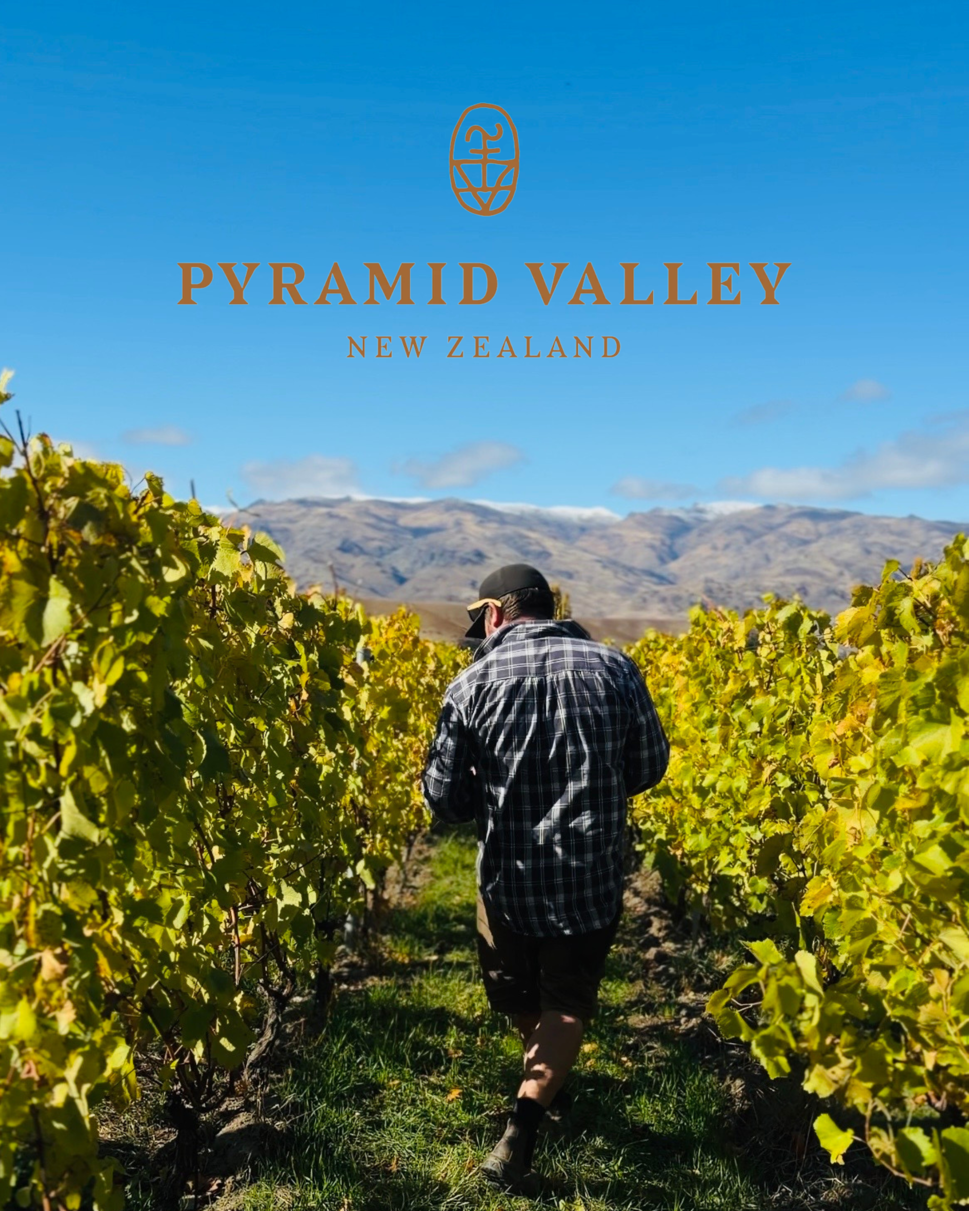 Lowburn Estate Pyramid Valley Wines